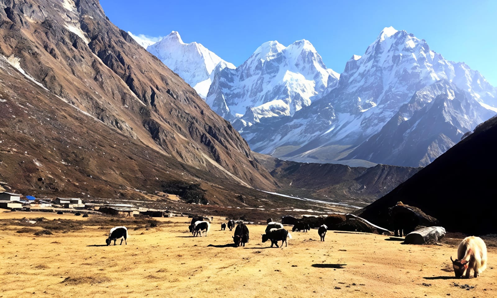 Kanchenjunga 1